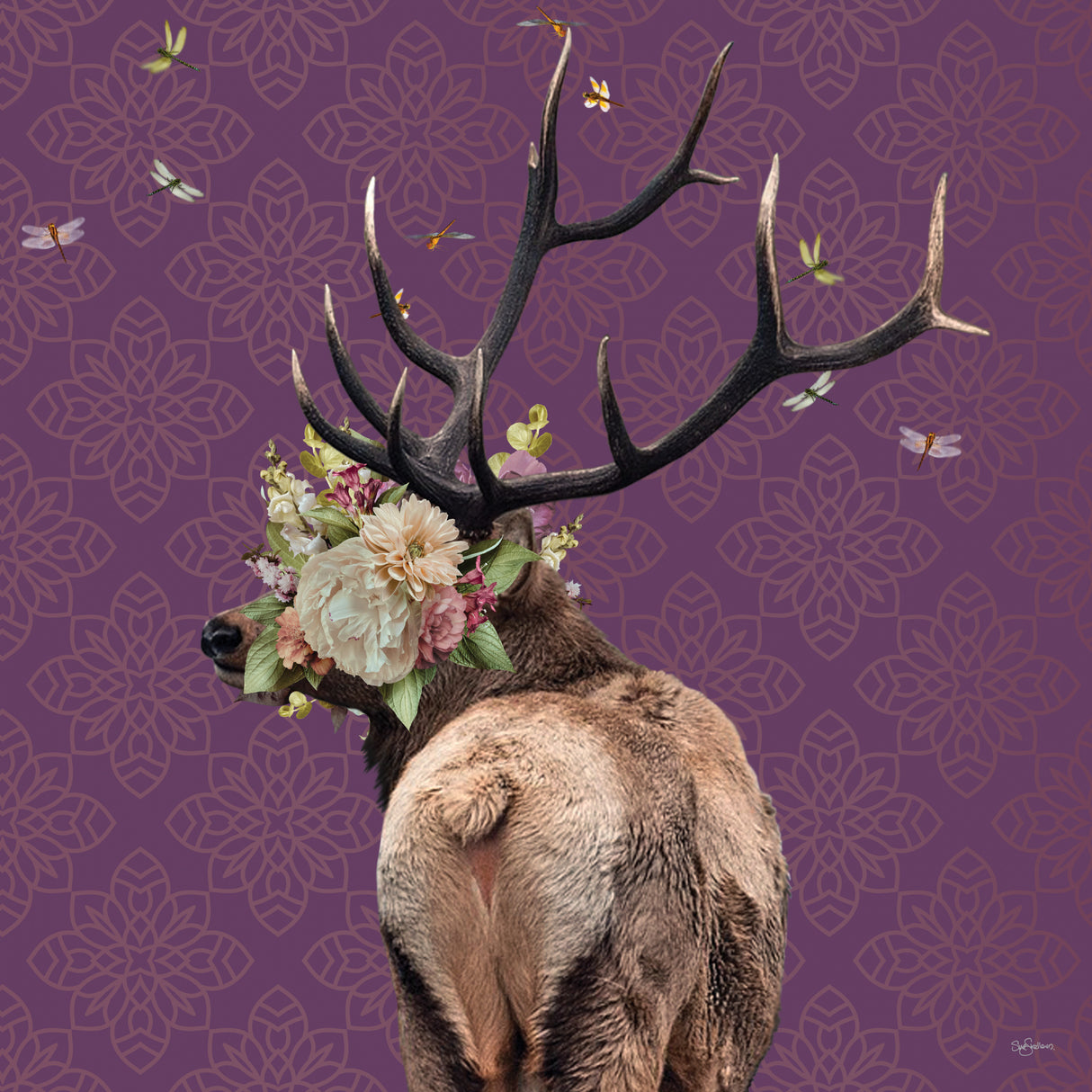 Spring Flower Bonnet On Deer Poster och Canvastavla