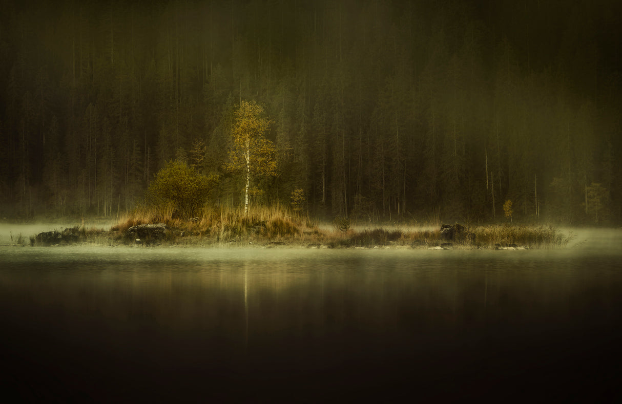 little autumn island Poster och Canvastavla