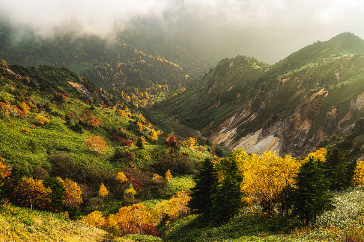 Alpine autumn. Poster och Canvastavla