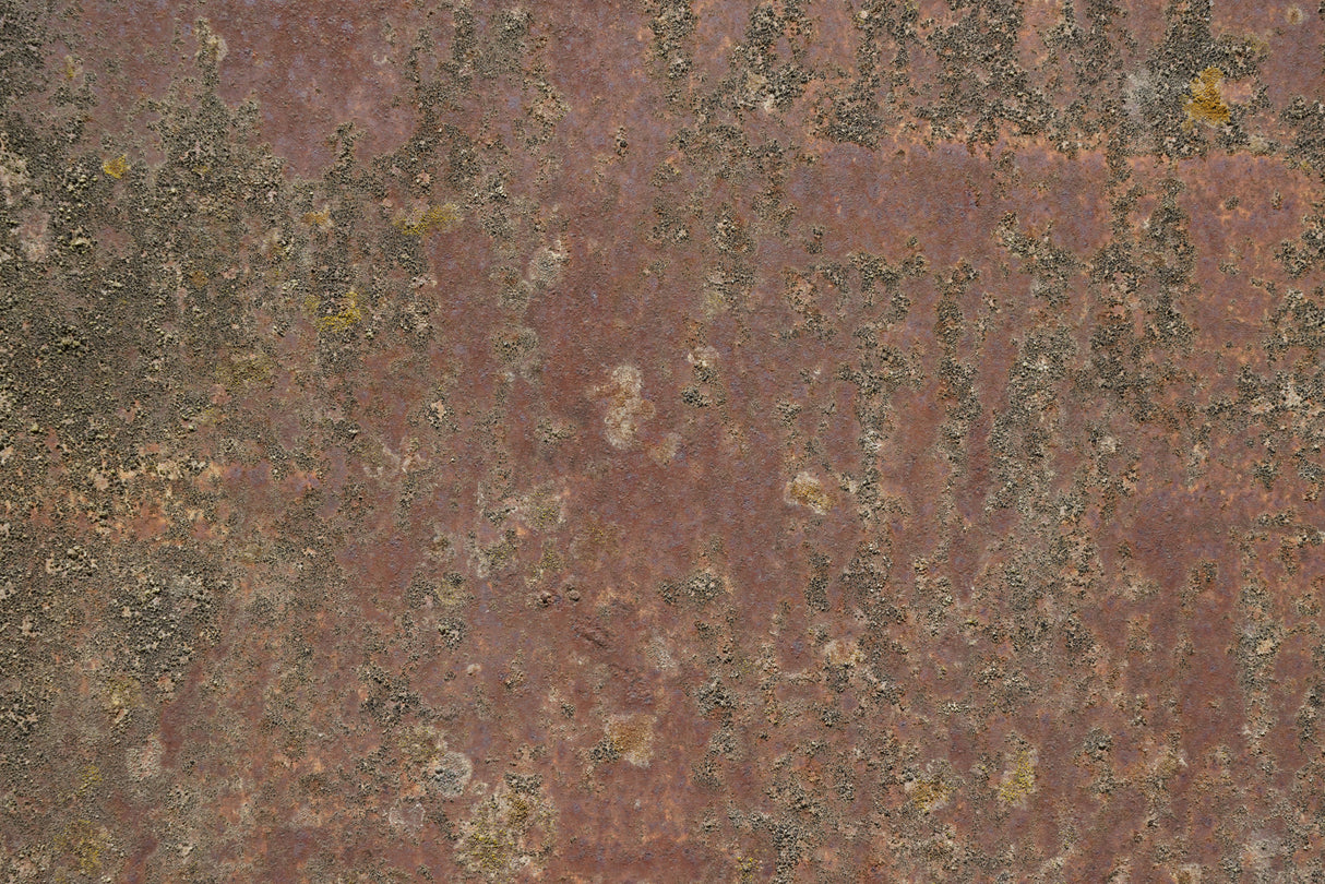 Rust 37 Poster och Canvastavla