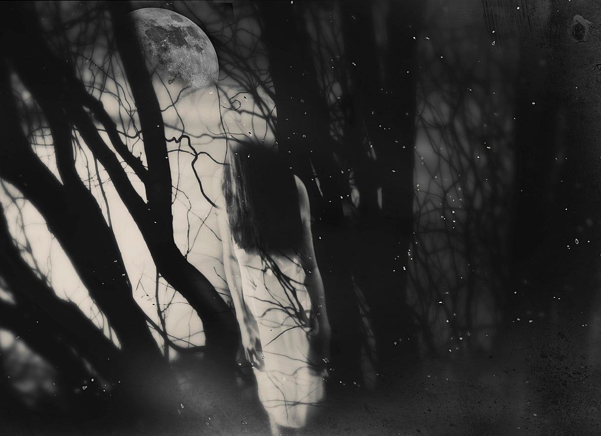 The Ring Poster och Canvastavla