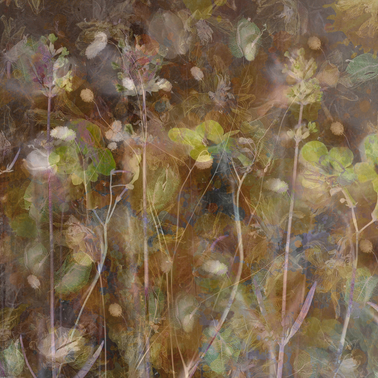 Summer pastel Poster och Canvastavla