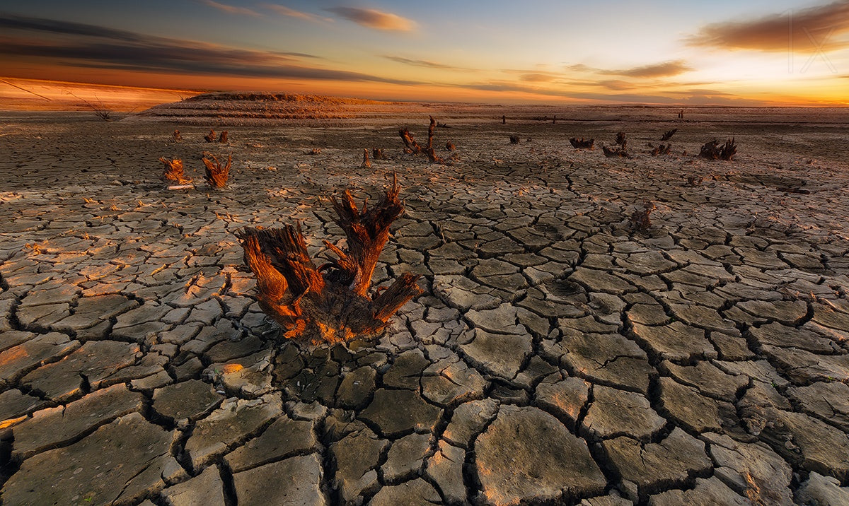 Dry lake Poster och Canvastavla