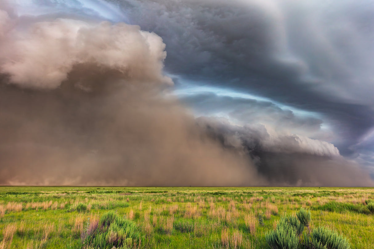 Dust Storm Poster och Canvastavla