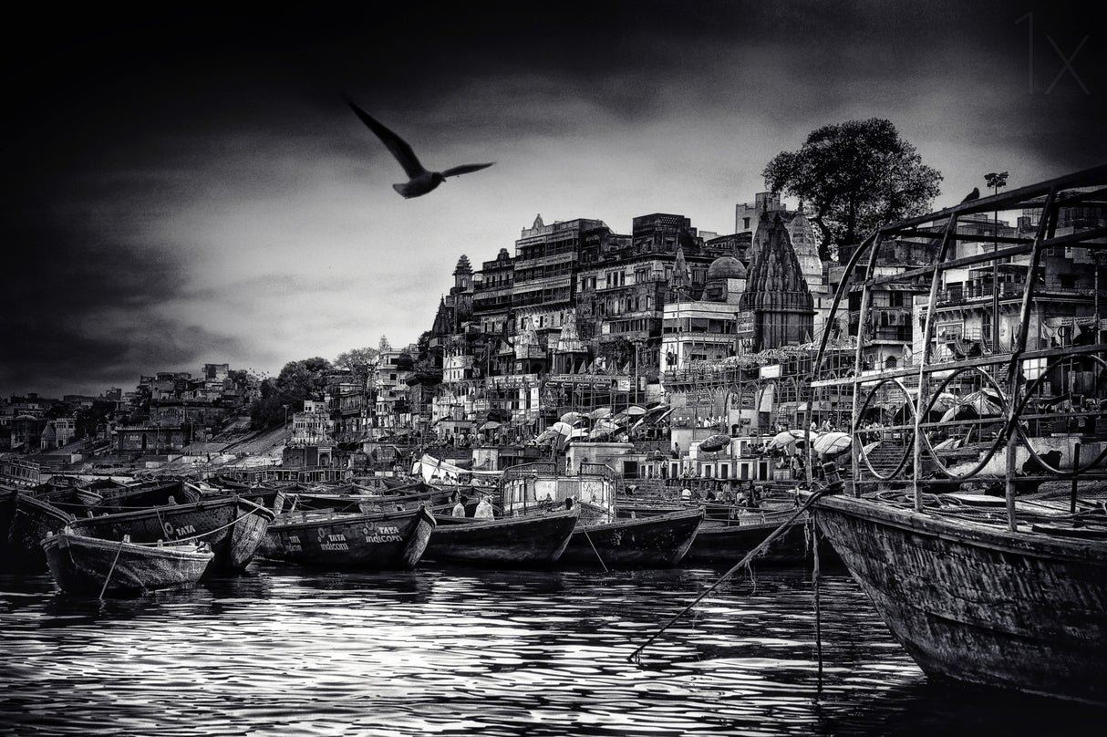the boats of Varanasi Poster och Canvastavla