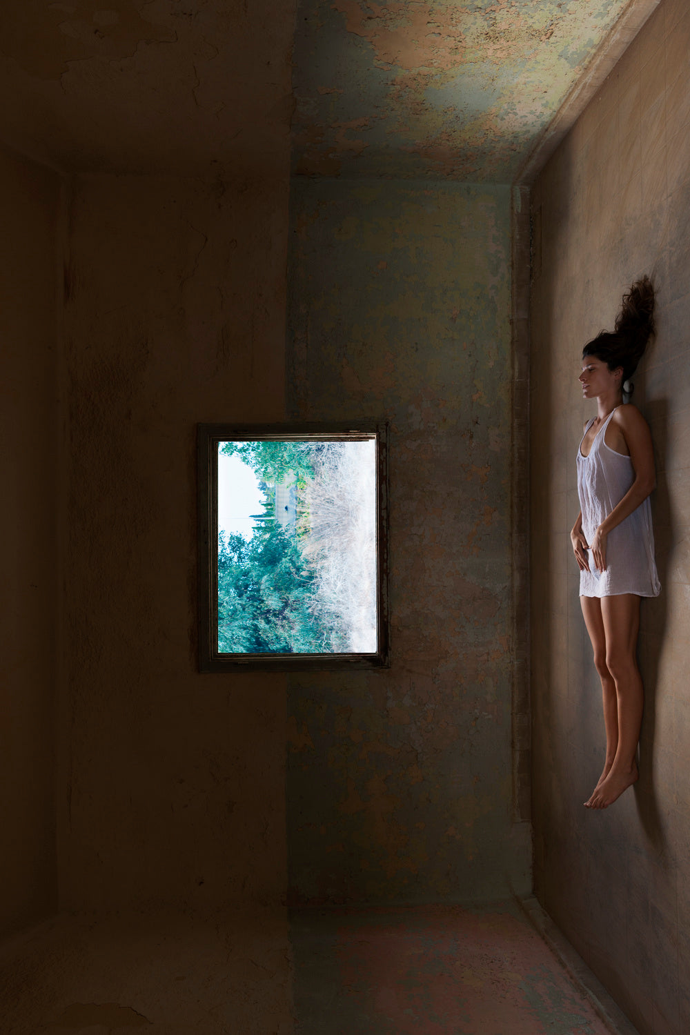 Her dream! Poster och Canvastavla