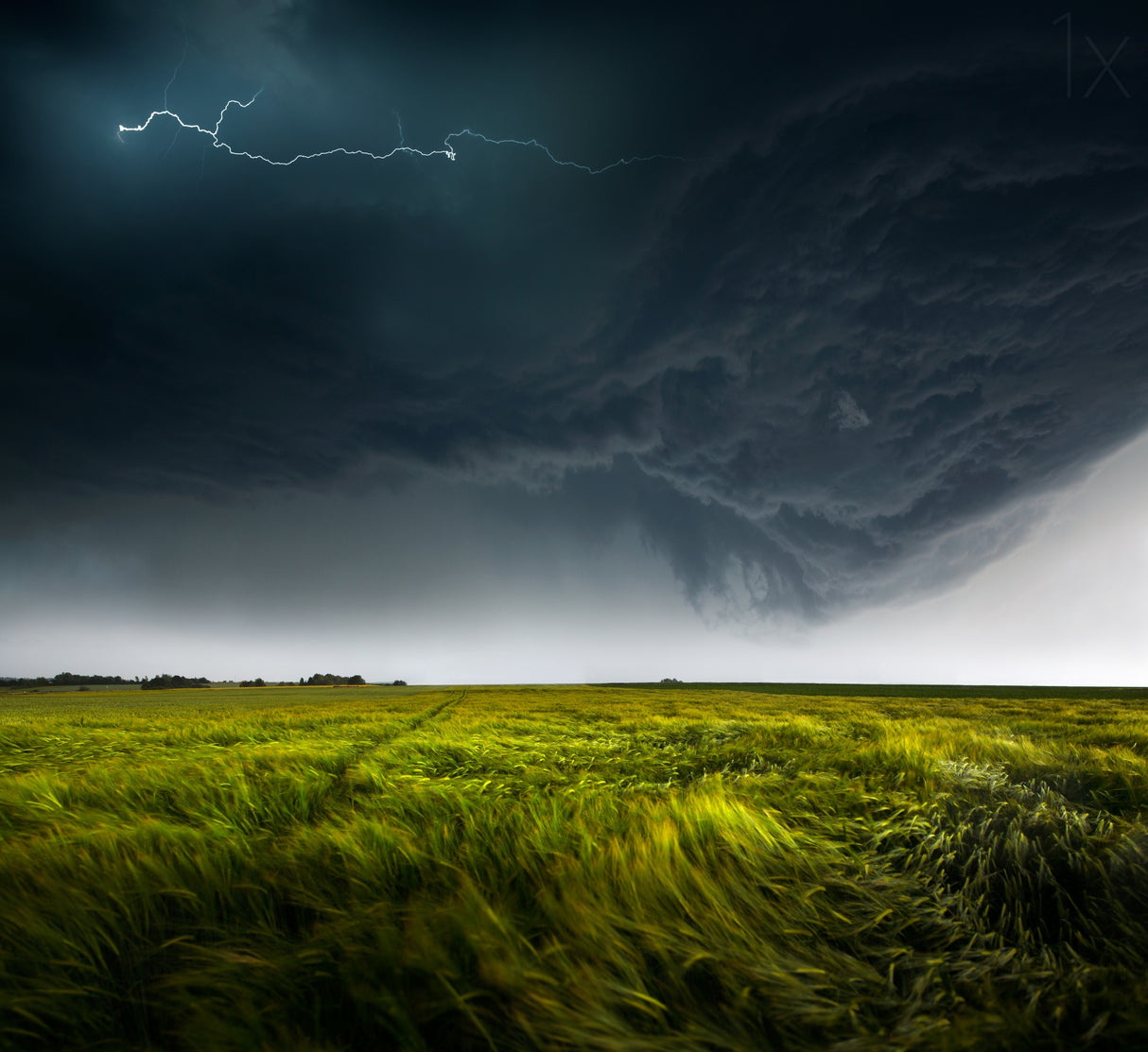 Sommergewitter_01 Poster och Canvastavla