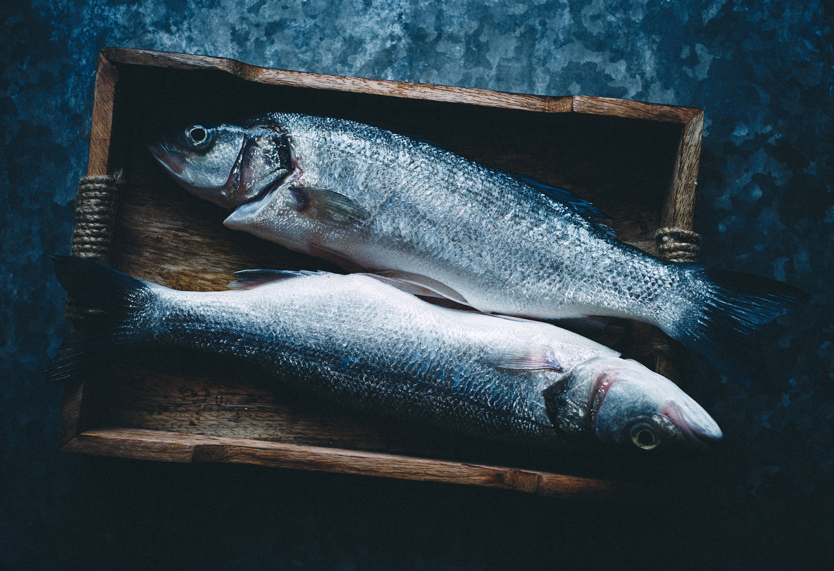Two fishes Poster och Canvastavla