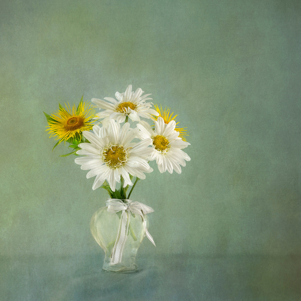 White Daisies Poster och Canvastavla