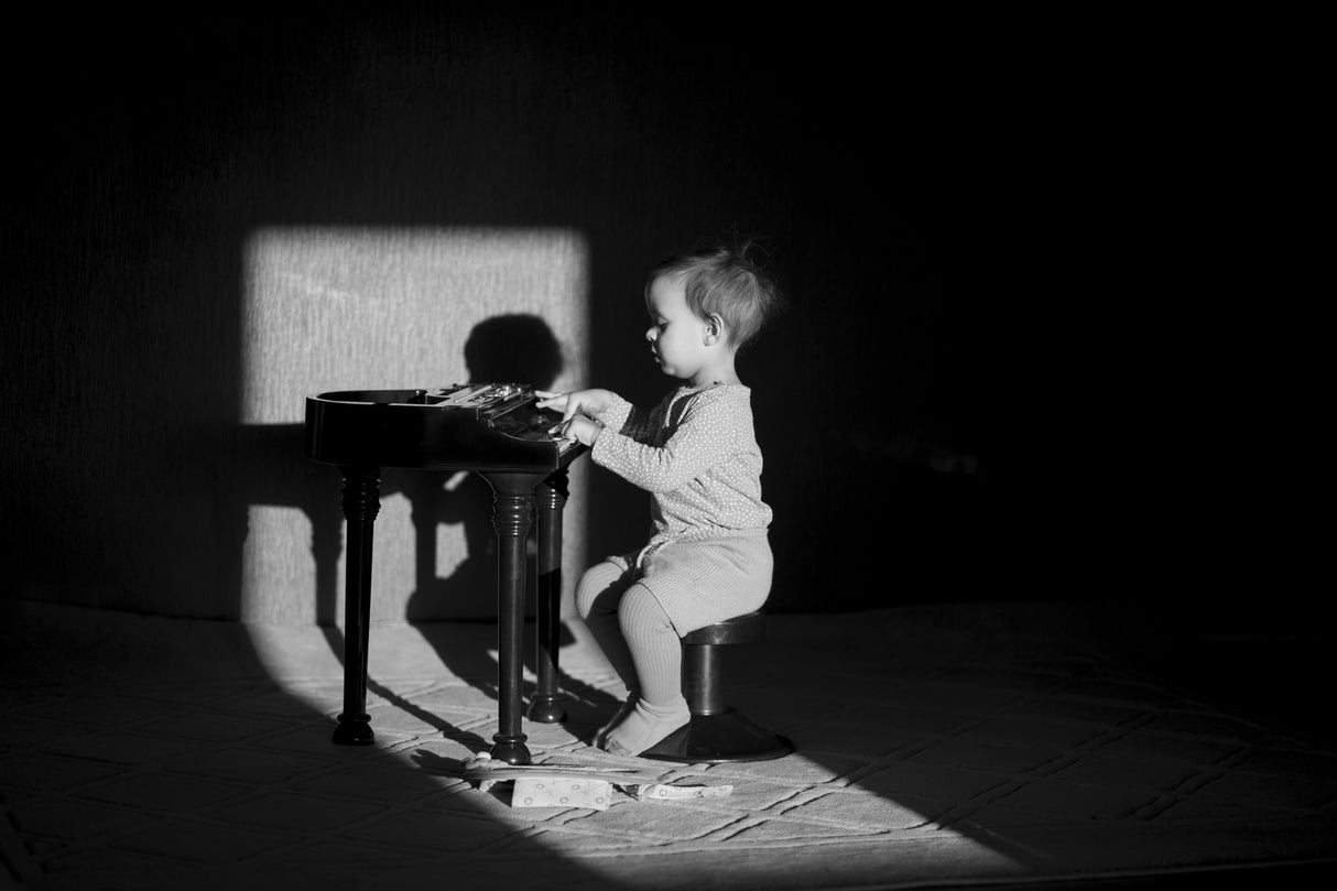 The Piano Man Poster och Canvastavla