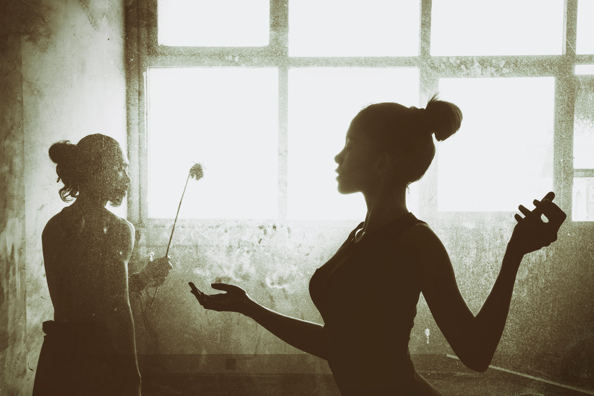 It's Just a Shadow Poster och Canvastavla
