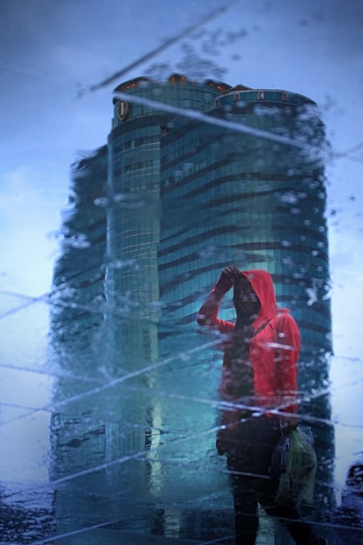The Red Riding Hood in the City Poster och Canvastavla