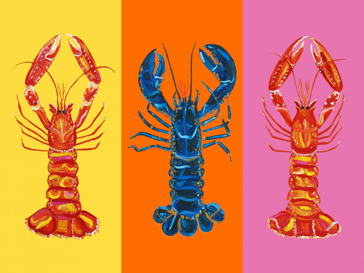 Lobster Langoustines Pop Art 3 Poster och Canvastavla
