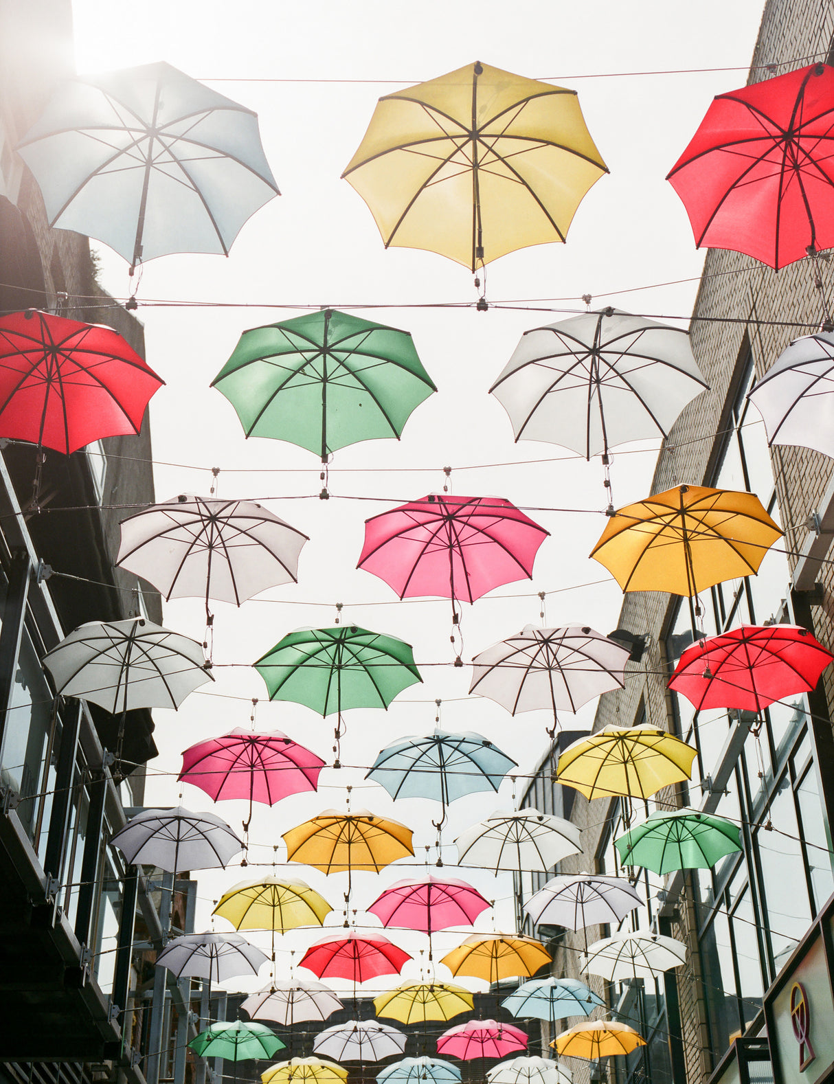 Umbrellas Poster och Canvastavla