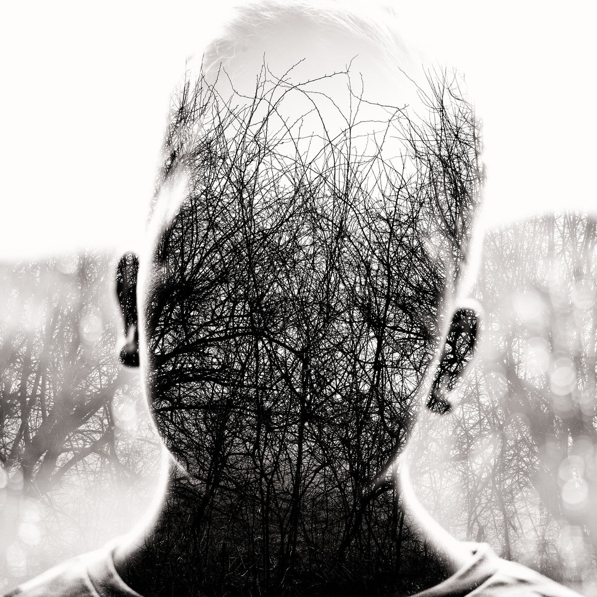 Beautiful mind Poster och Canvastavla