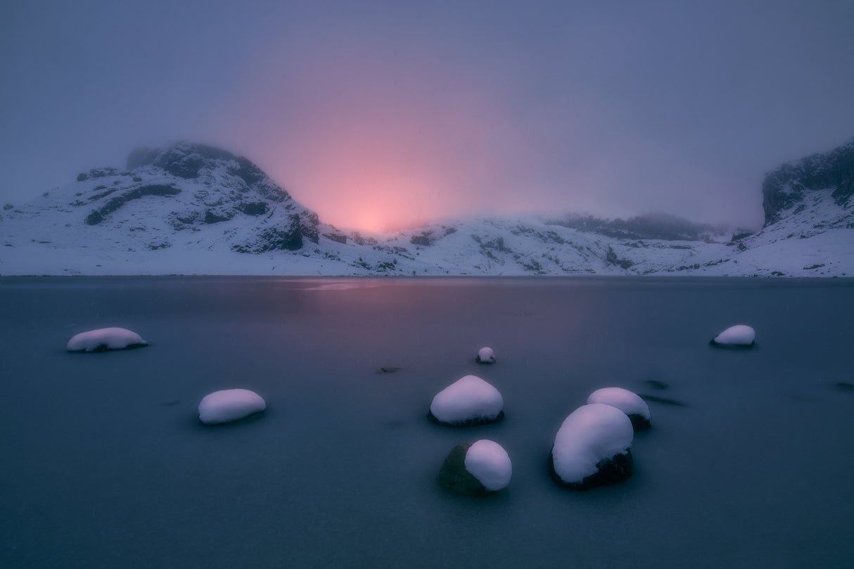 Dawn in the mist Poster och Canvastavla