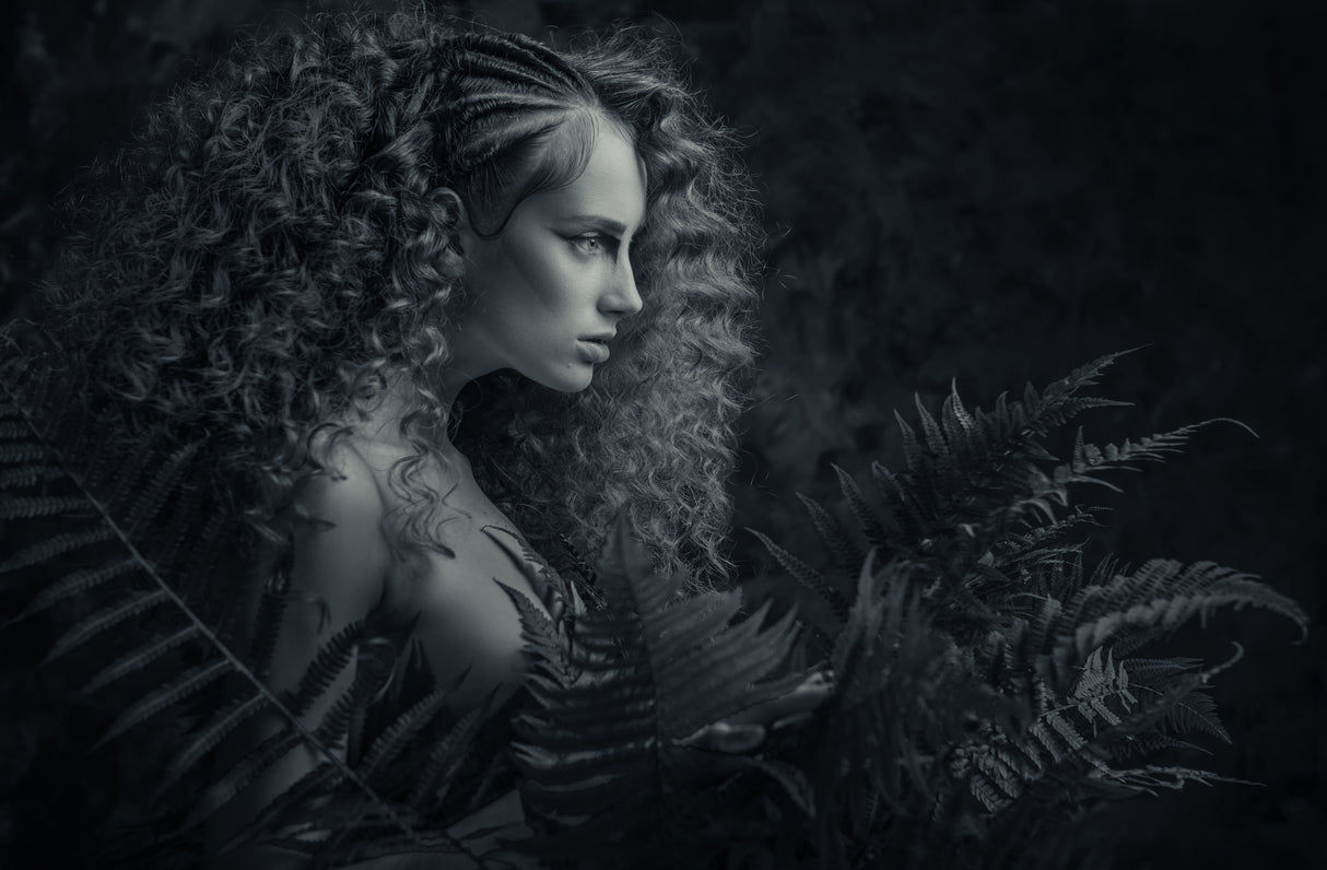 Fern blossom Poster och Canvastavla