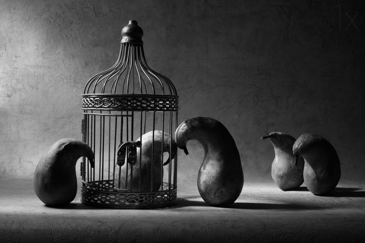 The political prisoner Poster och Canvastavla
