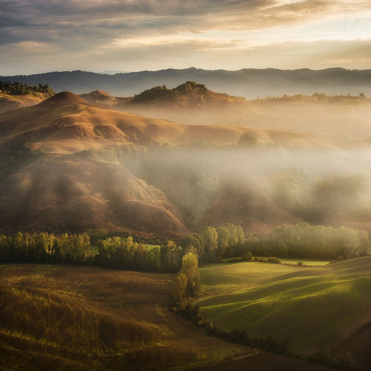 Mystical Waving Fields Tuscany Poster och Canvastavla