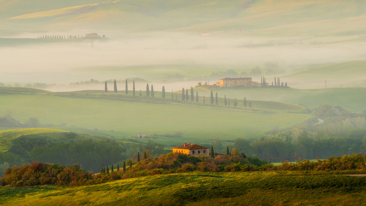Tuscany Morning Poster och Canvastavla