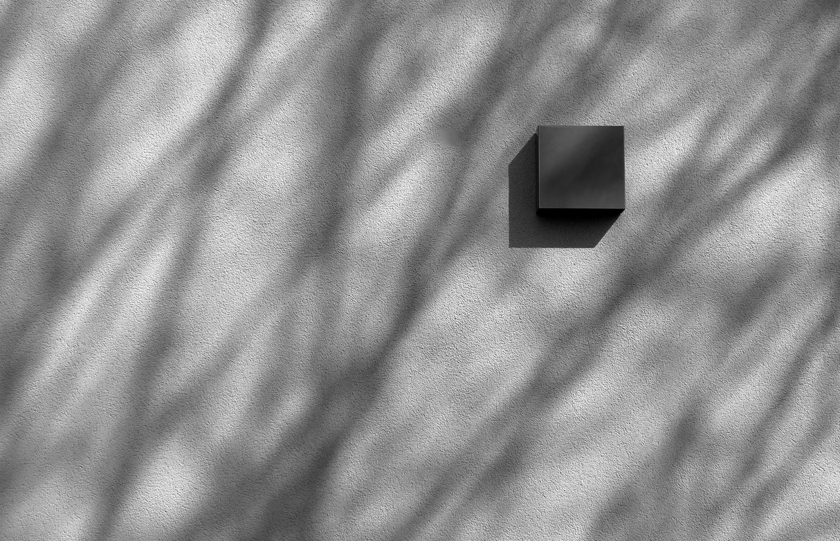 opposites II Poster och Canvastavla