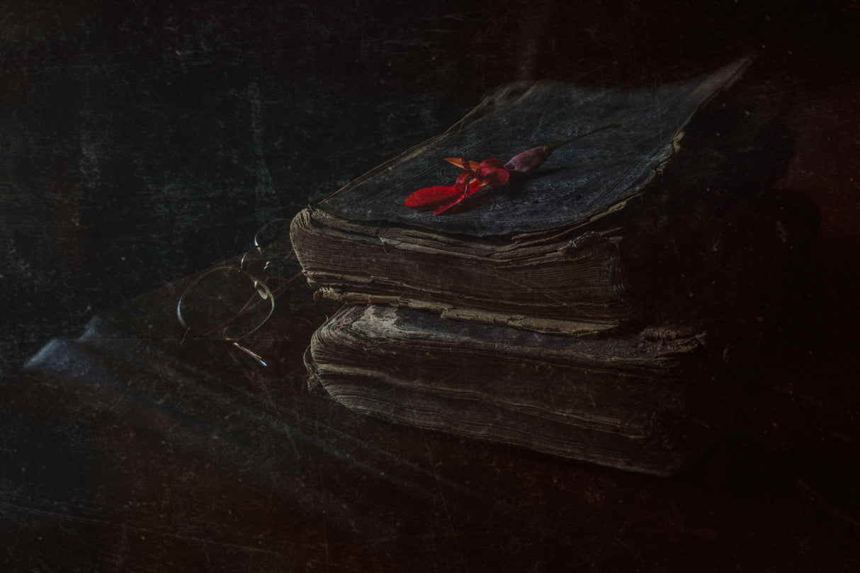 old books Poster och Canvastavla