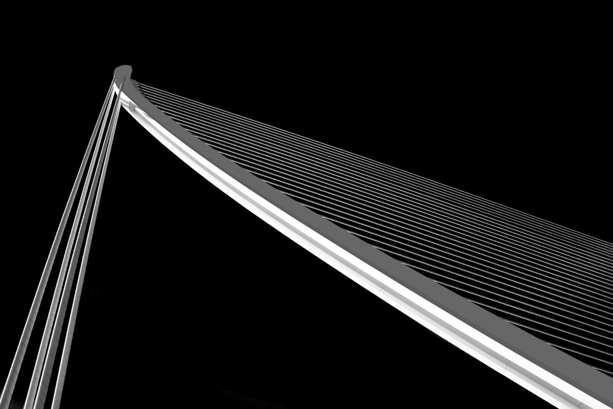 The Harp Poster och Canvastavla