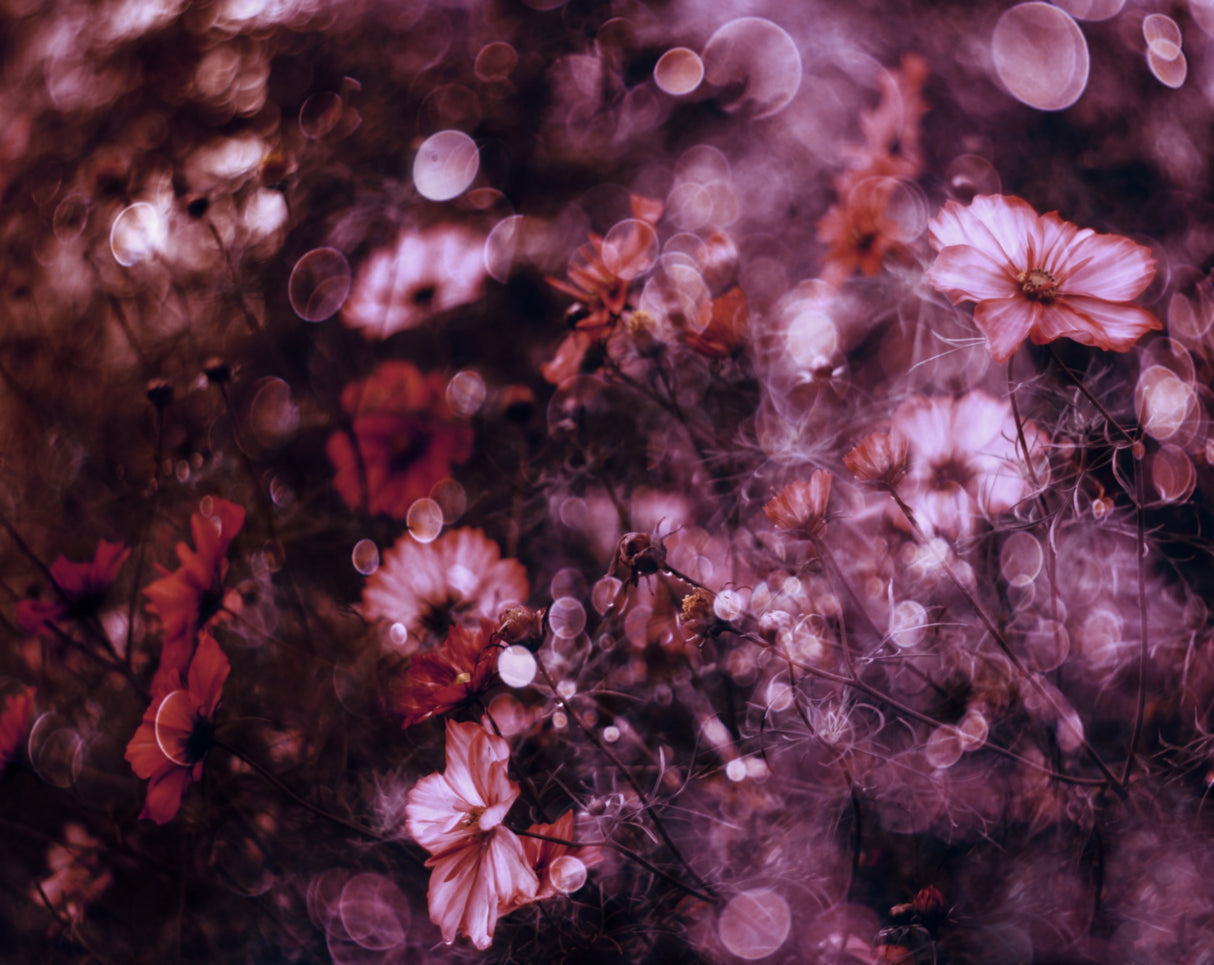 Tapestry of Flowers Poster och Canvastavla