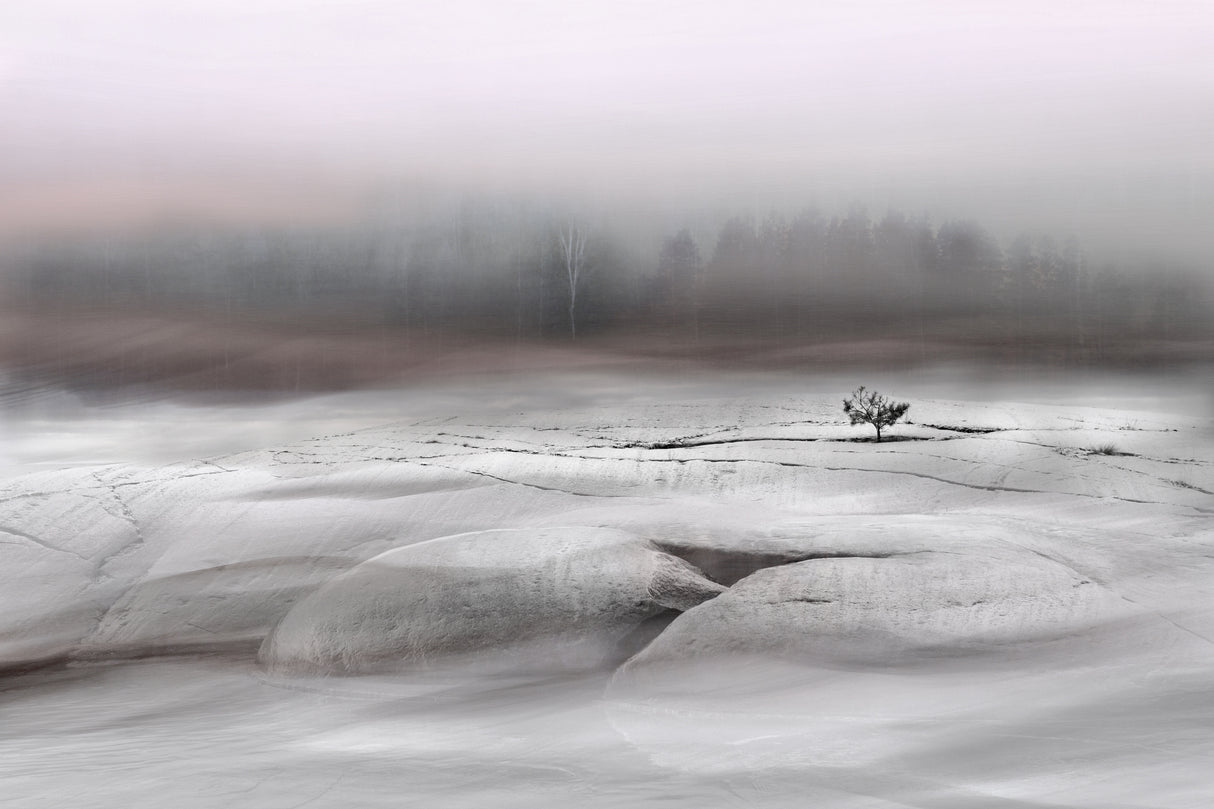 Winter silence Poster och Canvastavla