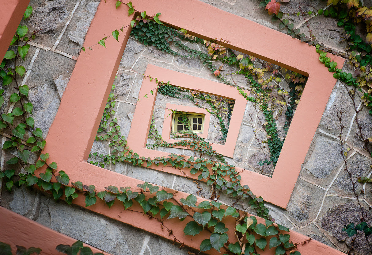 Spiral window Poster och Canvastavla