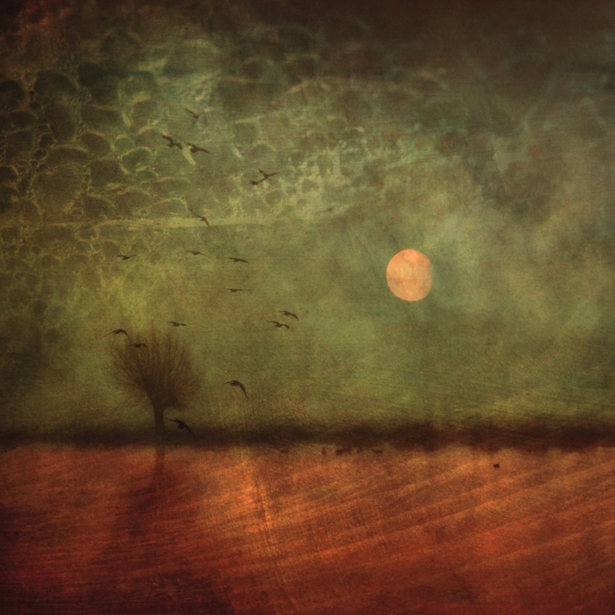 Autumn Thoughts... Poster och Canvastavla
