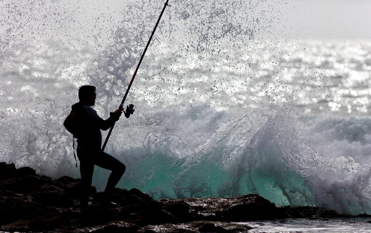 Fishing with Style Poster och Canvastavla