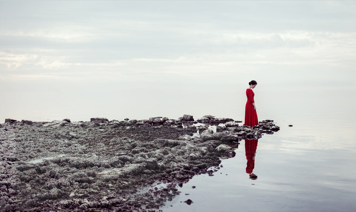 Red dress Poster och Canvastavla