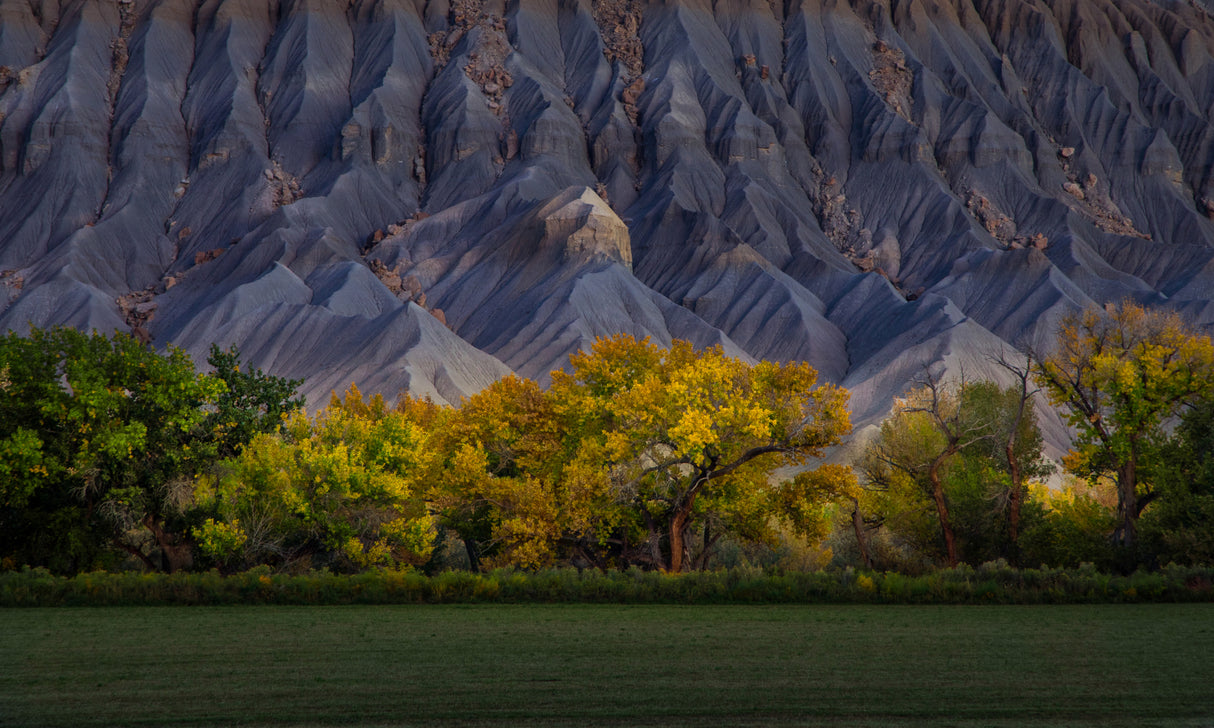 Autumn Gold in Badlands Poster och Canvastavla