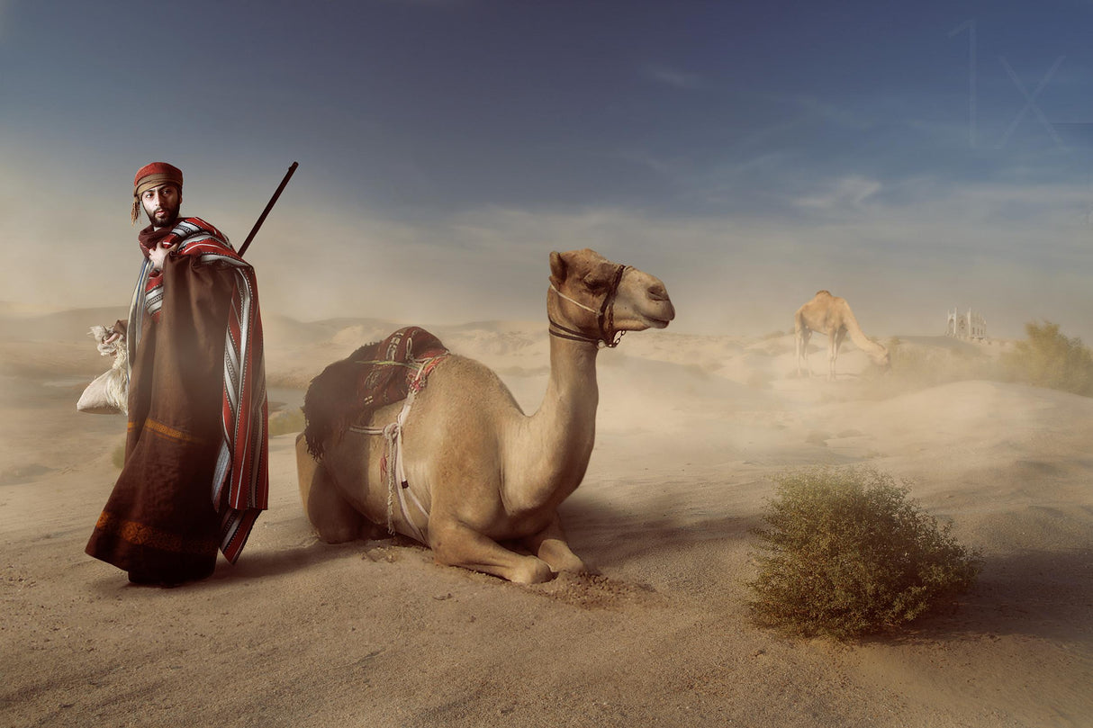 Life of the desert Poster och Canvastavla