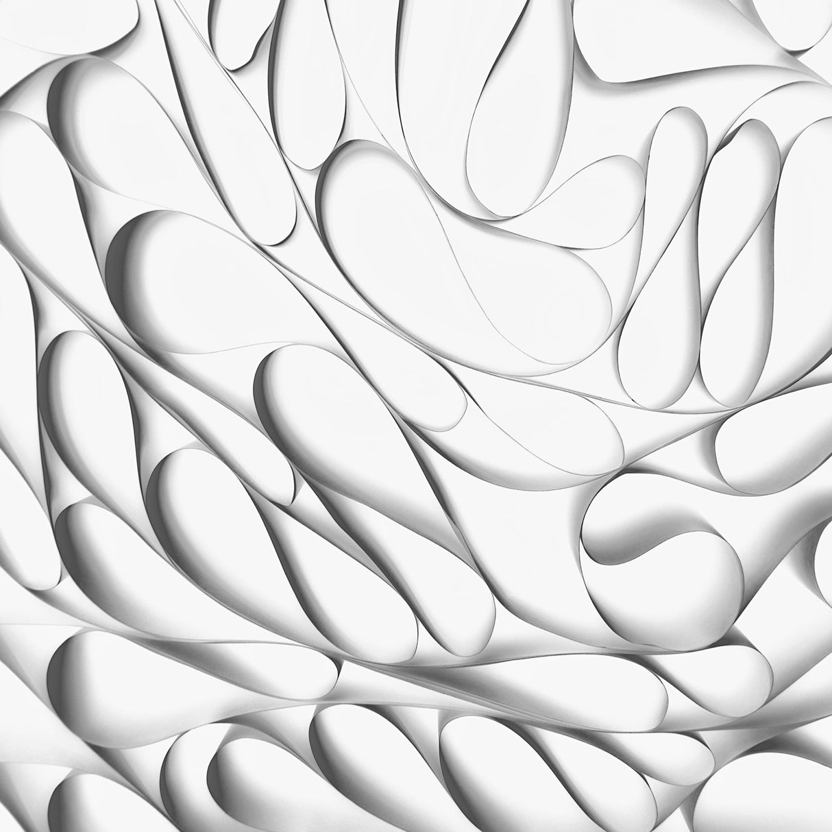 "S" Poster och Canvastavla