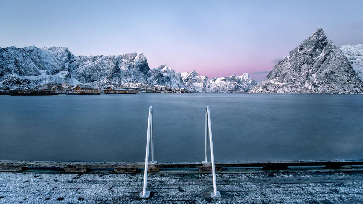 Out for a swim Poster och Canvastavla