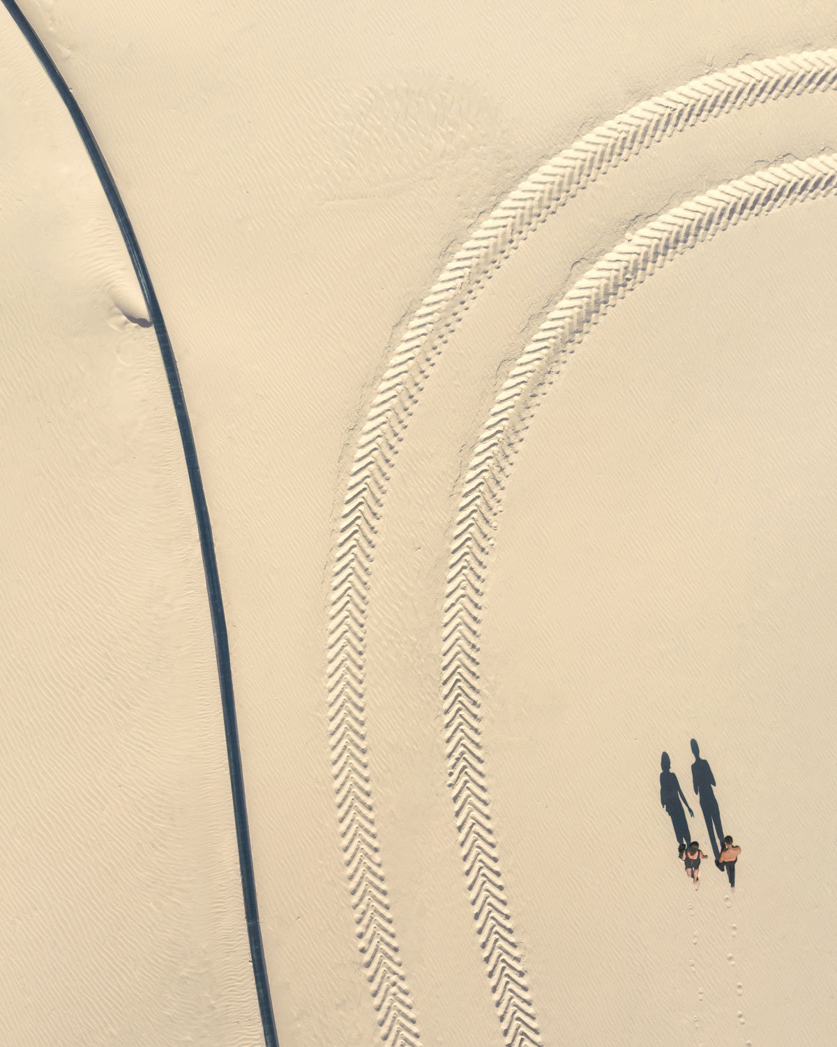 The traces we leave behind Poster och Canvastavla