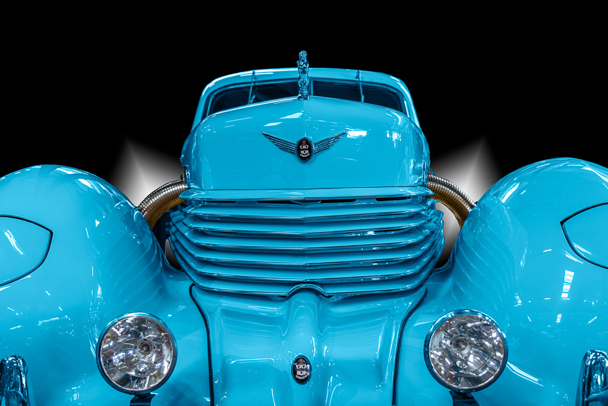 The Blue Cord Poster och Canvastavla
