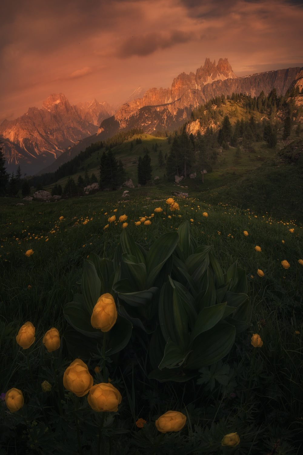 Cinque Torri, Dolomites Poster och Canvastavla