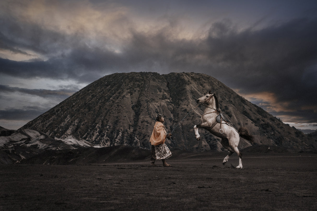 Dance With Me Poster och Canvastavla