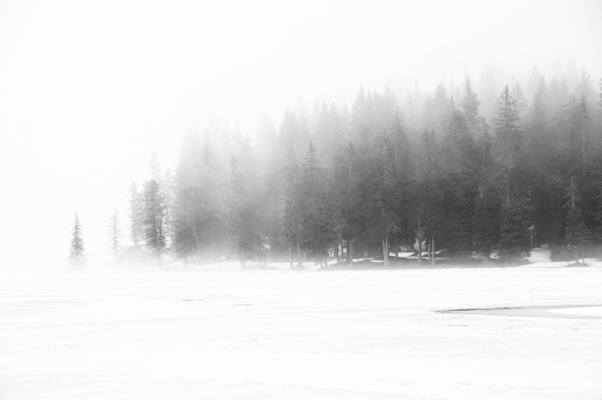 Foggy day Poster och Canvastavla