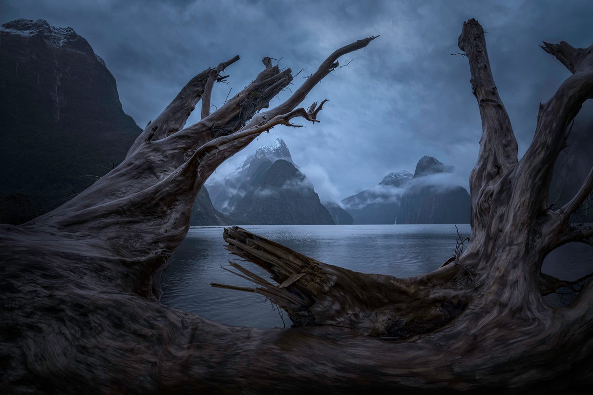 Milford Sound Poster och Canvastavla