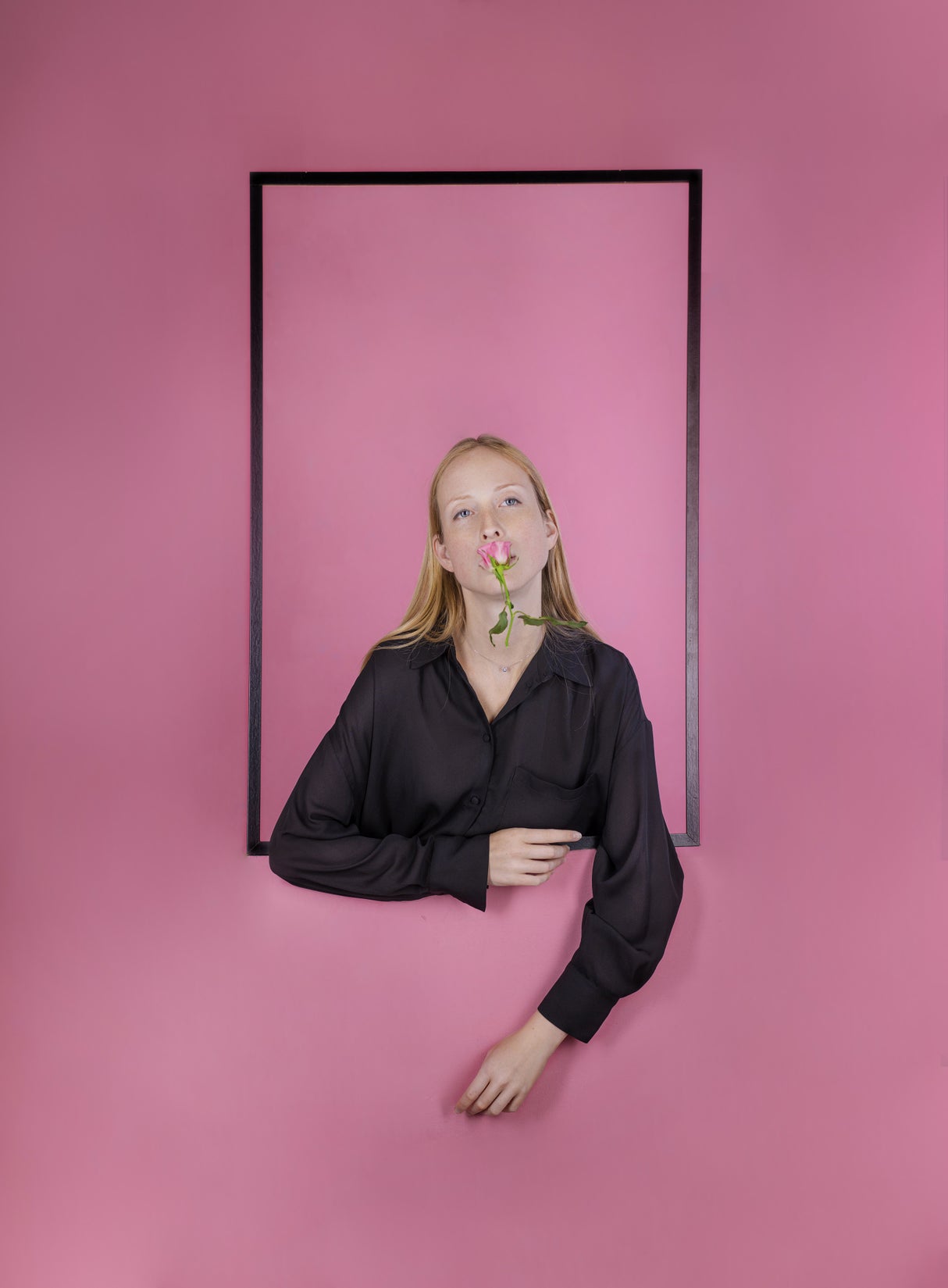 the rose Poster och Canvastavla