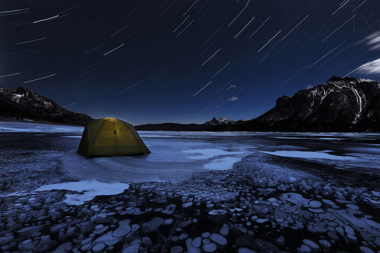 A starry night Poster och Canvastavla