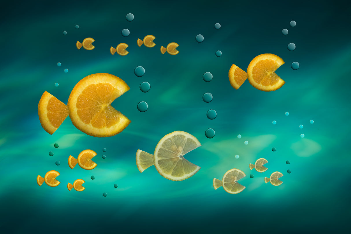 Fish in the Sea Poster och Canvastavla