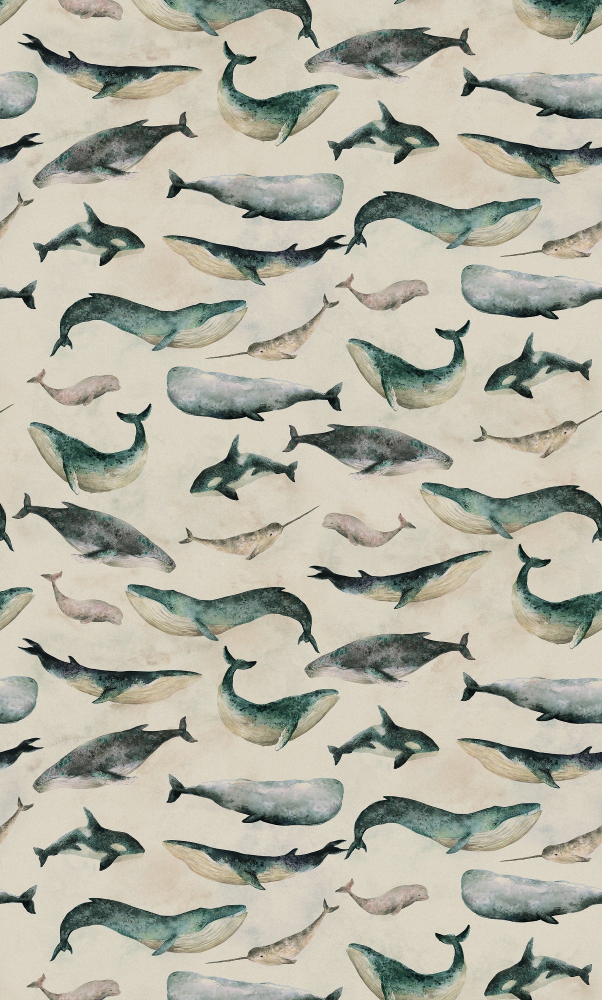 Hl007 Whale 1806mm X 3000mm Poster och Canvastavla