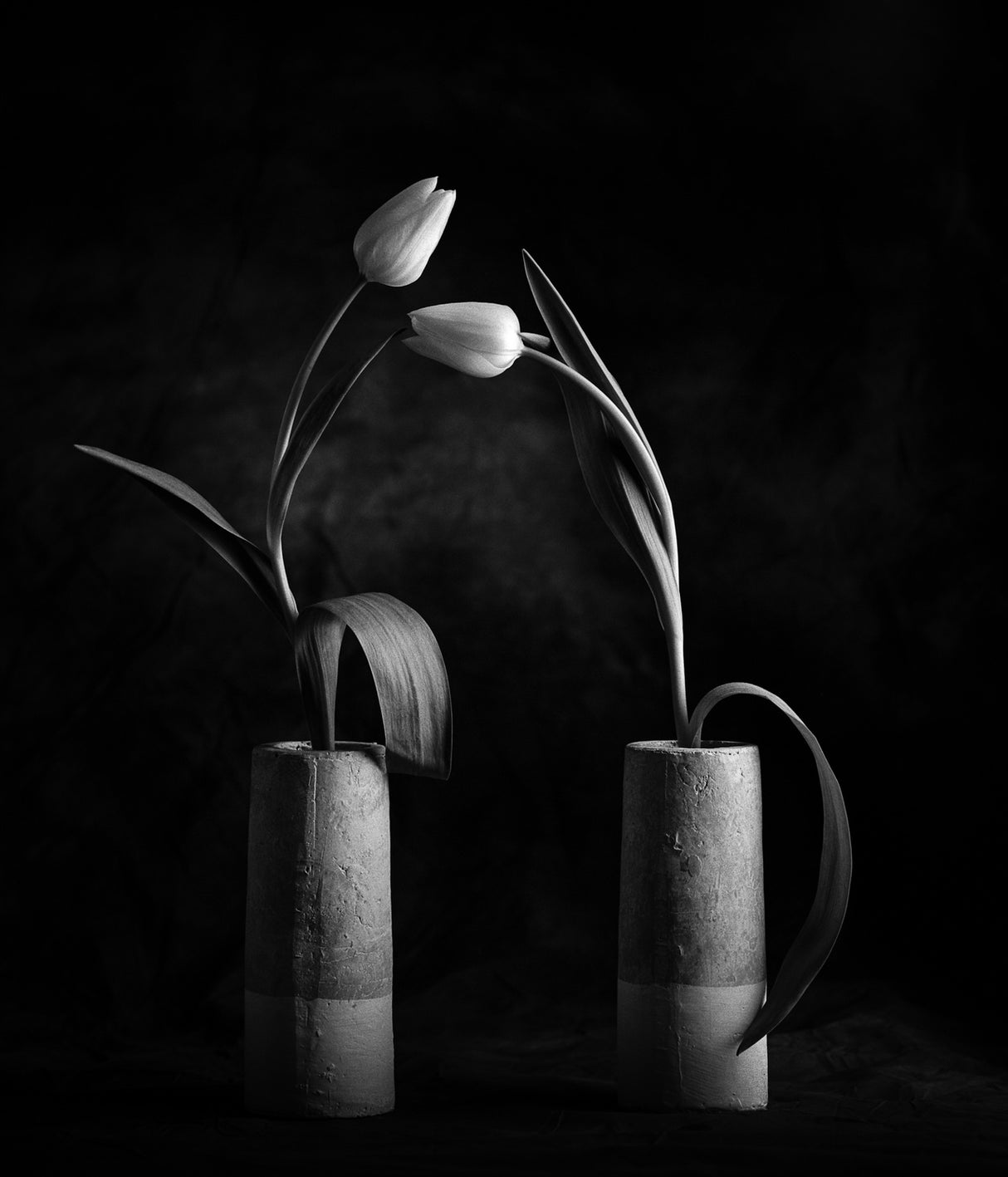 Tulips No. 2 Poster och Canvastavla