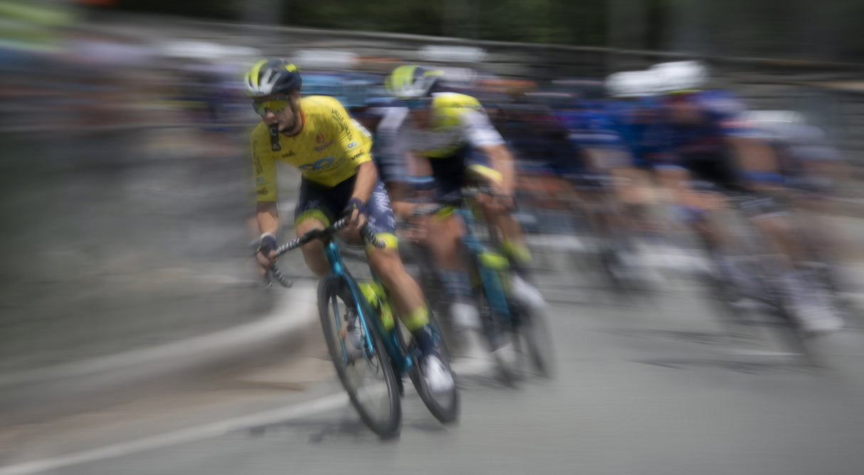 The race Poster och Canvastavla