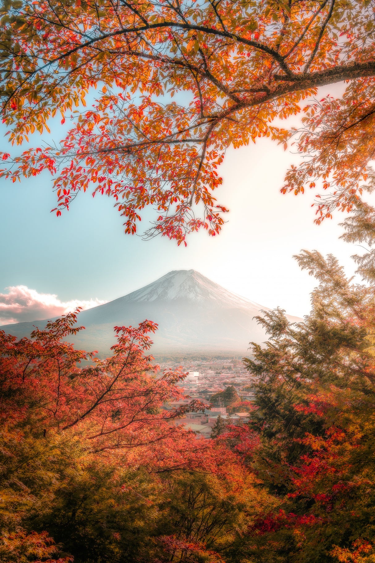 Beautiful Autumn in Japan Poster och Canvastavla